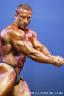 Jaroslav_Horvath_-_Prejudging Individual Compulsories2.jpg