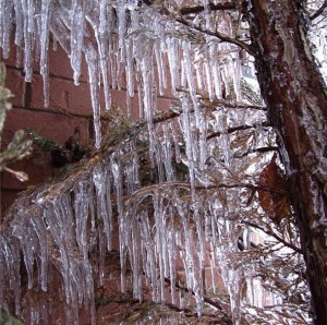 20131222-ice15