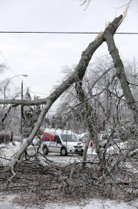 Ice Storm Day After