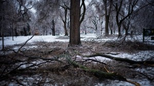 image (4)