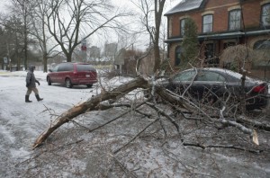 WEA Eastern Canada Storm 20131223
